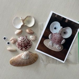 Seashell Owl Craft Making Kit